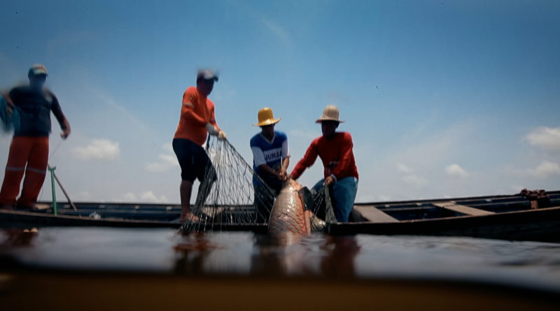 Amazônia Novas Histórias